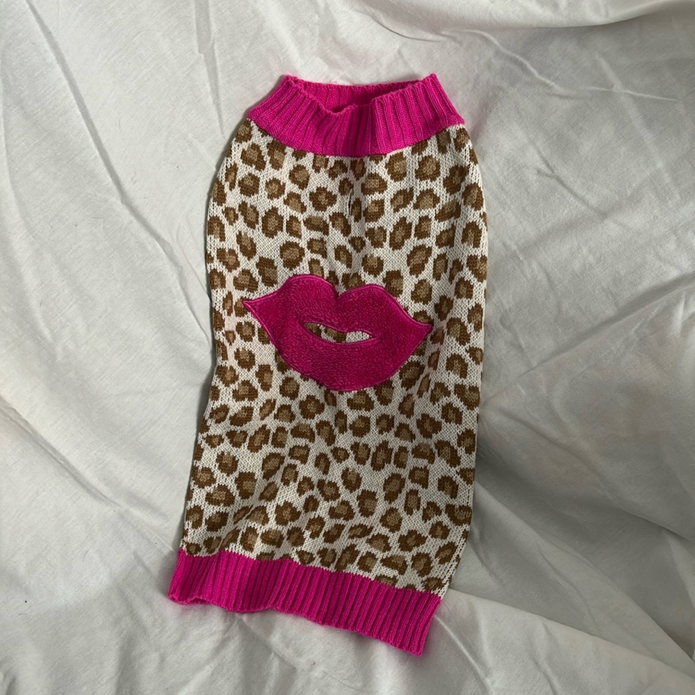 Sassy dog sweater